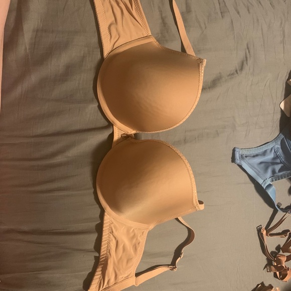 Panache Cleo T-Shirt Bra - Picture 2 of 3